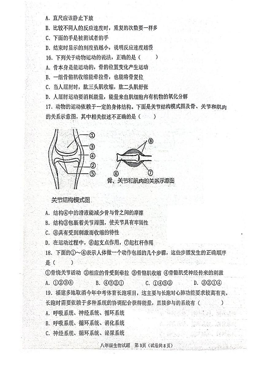 广东省江门市二中2025-2026学年八年级上学期月考生物试题(含答案) 广东省江门市二中2025-2026学年八年级上学期月考生物试题第3页