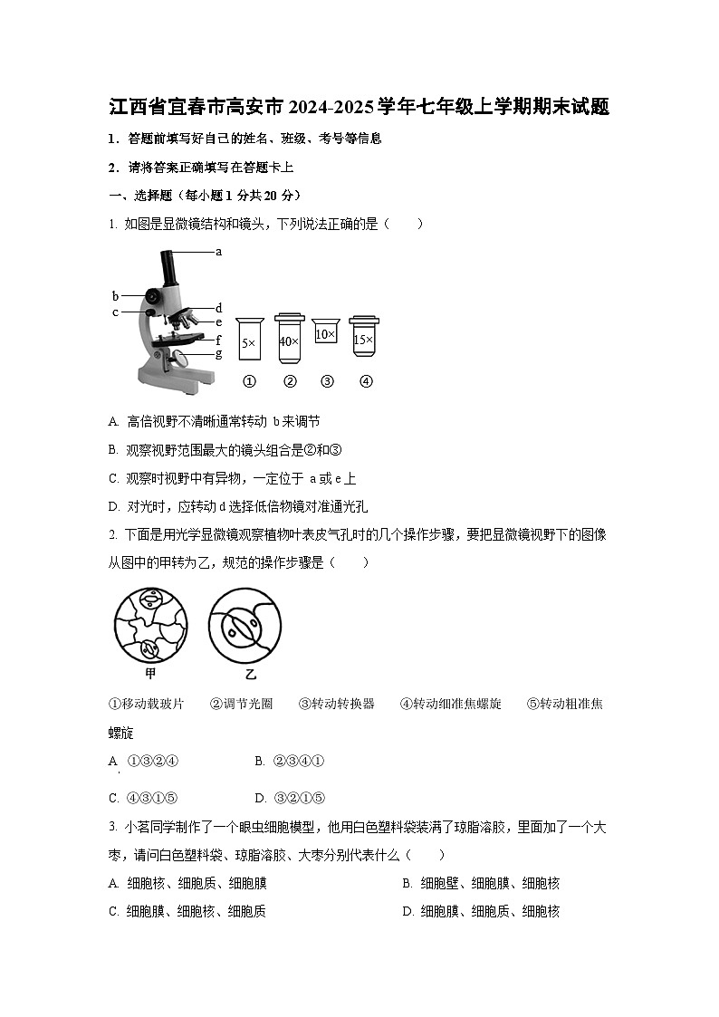江西省宜春市高安市2024-2025学年七年级上学期期末生物试卷（学生版）第1页