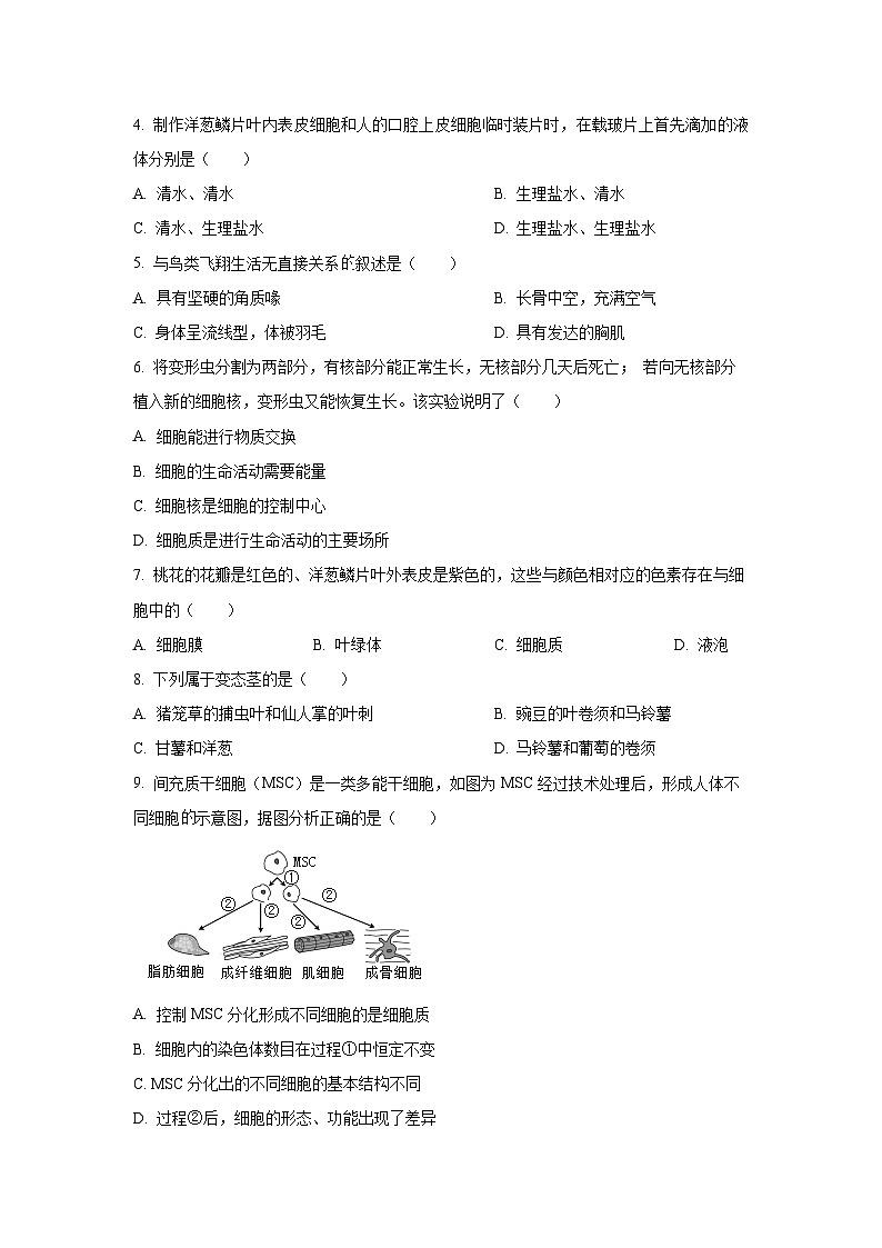 江西省宜春市高安市2024-2025学年七年级上学期期末生物试卷（学生版）第2页
