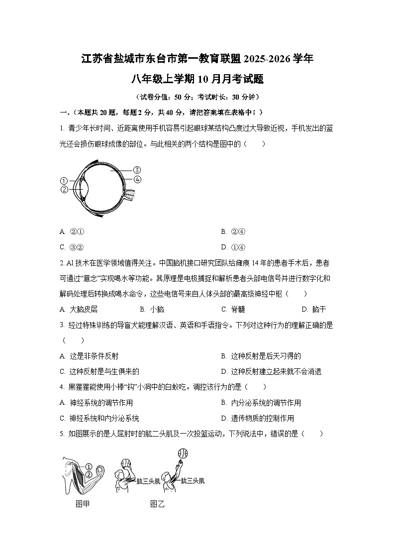 江苏省盐城市东台市第一教育联盟2025-2026学年八年级上学期10月月考生物试卷（学生版）第1页