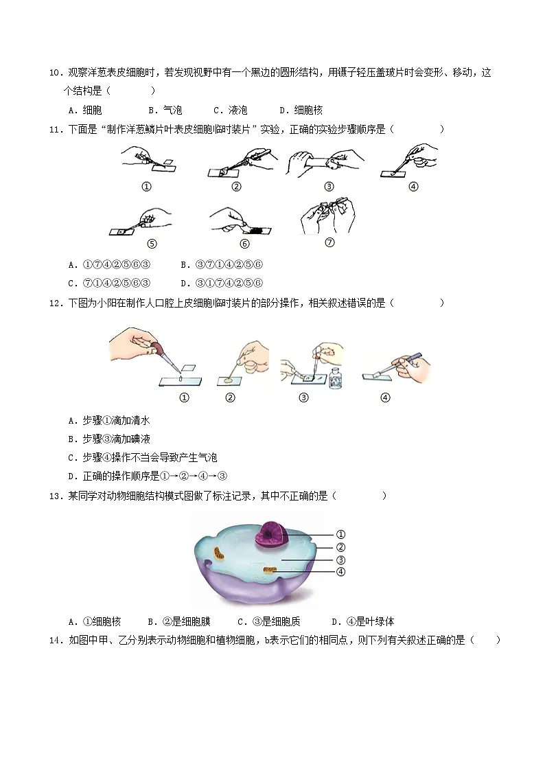 七年级生物期中模拟卷【测试范围：新教材人教版七年级上册第一单元】（考试版）（深圳专用）第3页