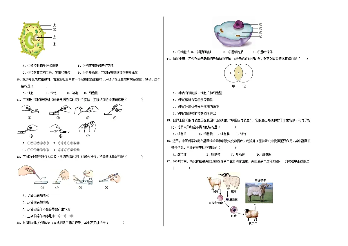 七年级生物期中模拟卷【测试范围：新教材人教版七年级上册第一单元】（考试版A3）（深圳专用）第2页