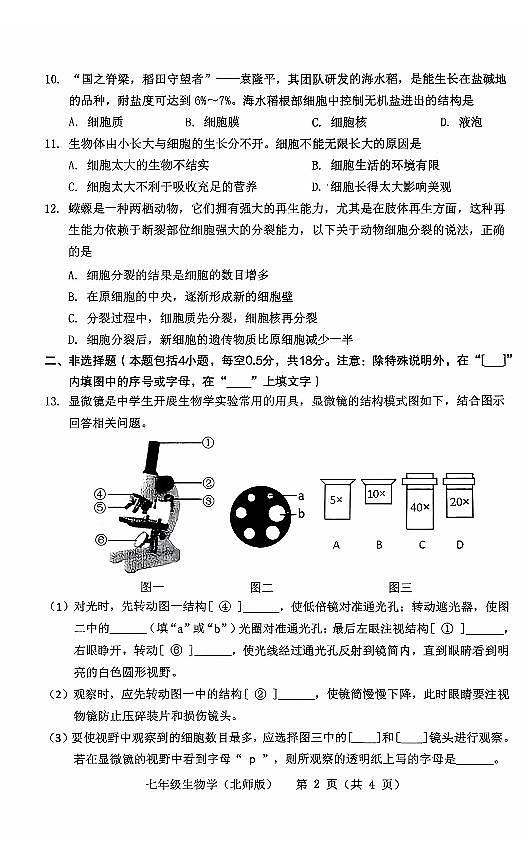 辽宁省抚顺市实验中学2025-2026学年上学期七年级生物10月月考试卷（含答案）第2页