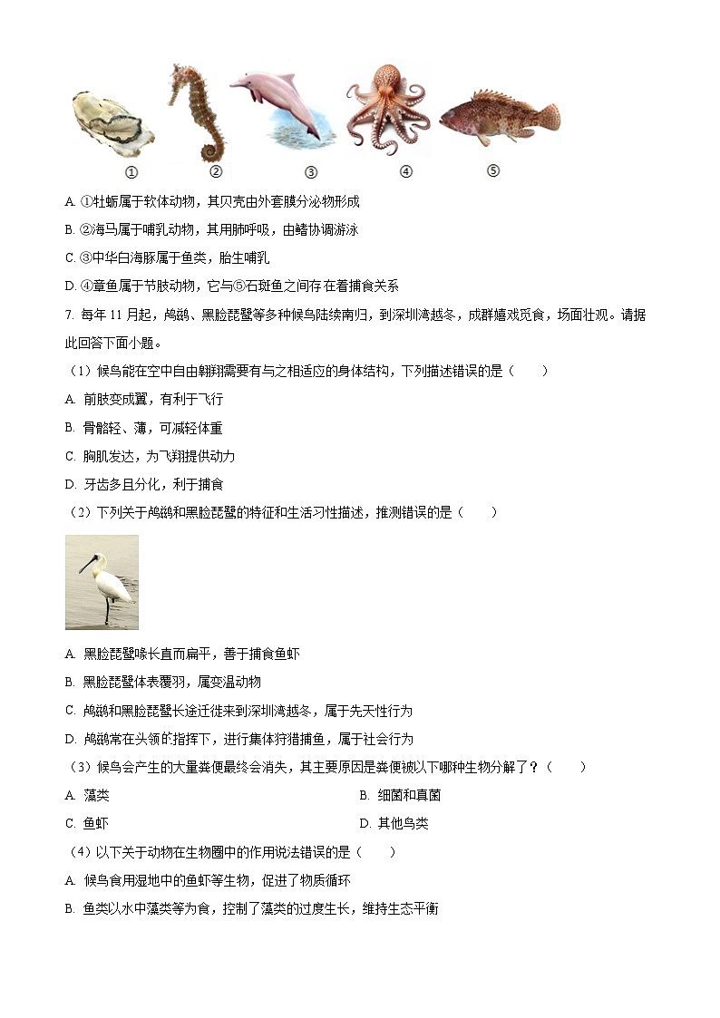 精品解析：广东省深圳市罗湖区2024-2025学年八年级上学期期末生物试题（原卷版）第3页