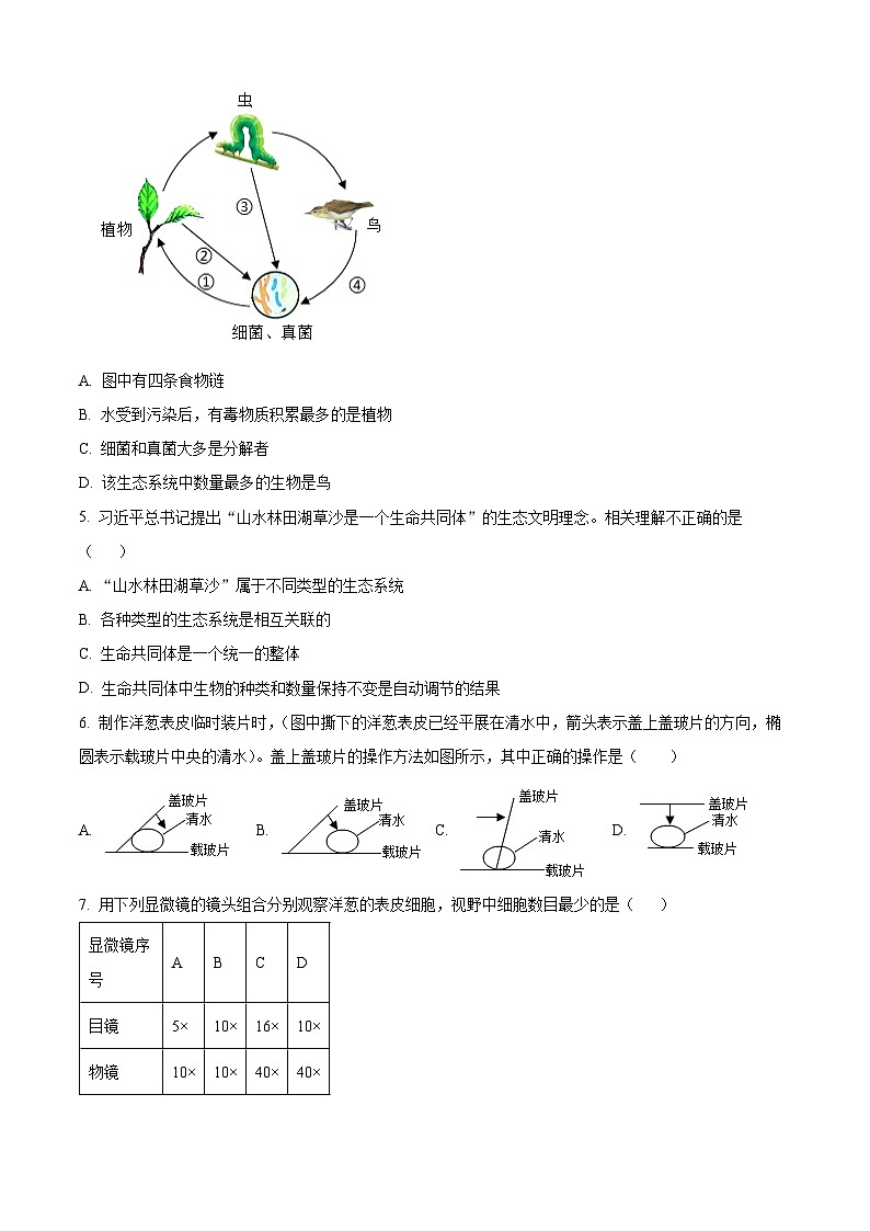 精品解析：广东省深圳市高级中学2023-2024学年七年级上学期期末生物试题（原卷版）第2页