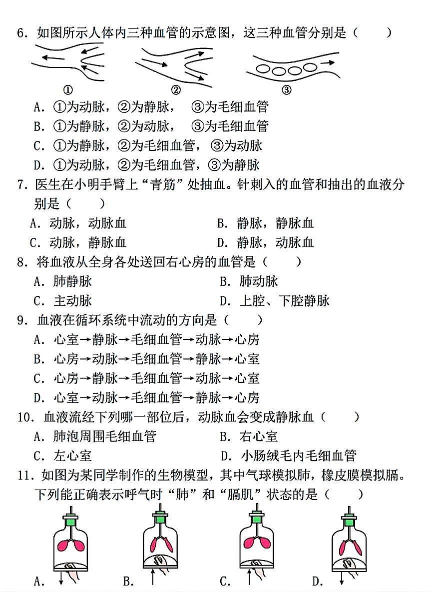 辽宁省沈阳市南昌中学2025-2026学年八年级上学期10月月考生物试卷（月考）第2页