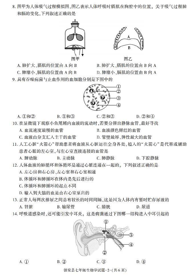 陕西省商洛市镇安县2022-2023学年七年级下学期期末考试生物试卷第2页