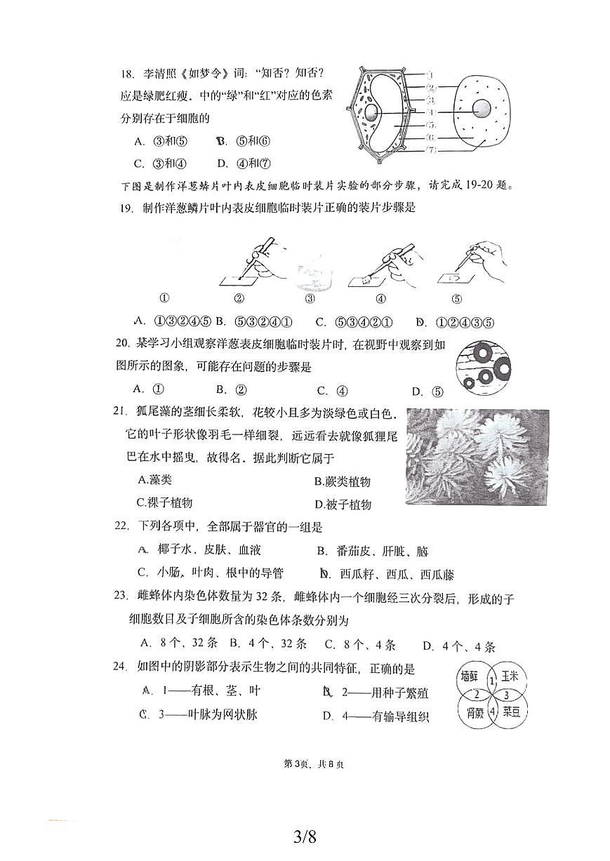 福建省厦门市莲花中学2025-2026学年七年级上学期期中考试生物试题第3页