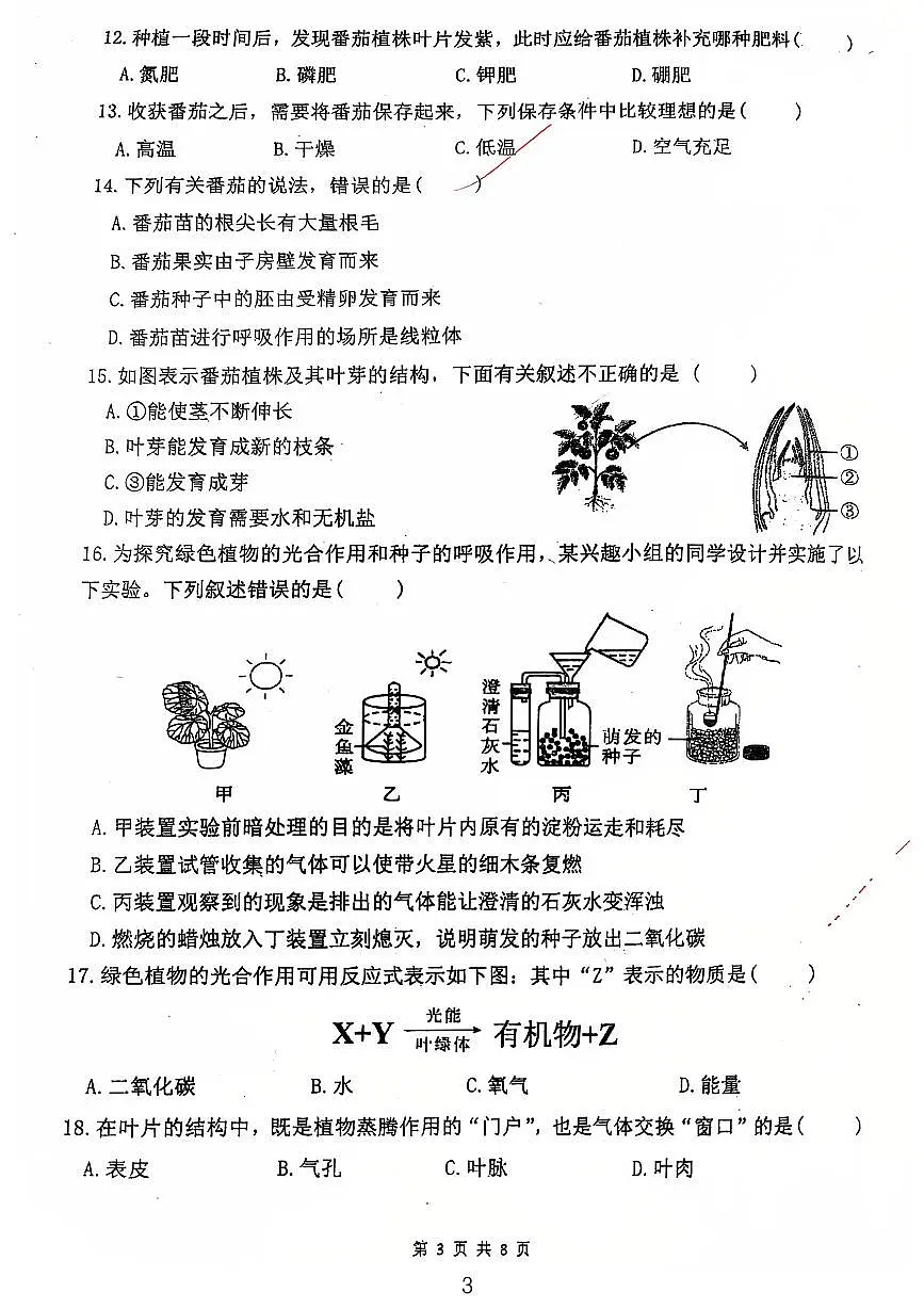 广东省江门市第一实验学校2024-2025学年七年级下学期期中考试生物试题第3页