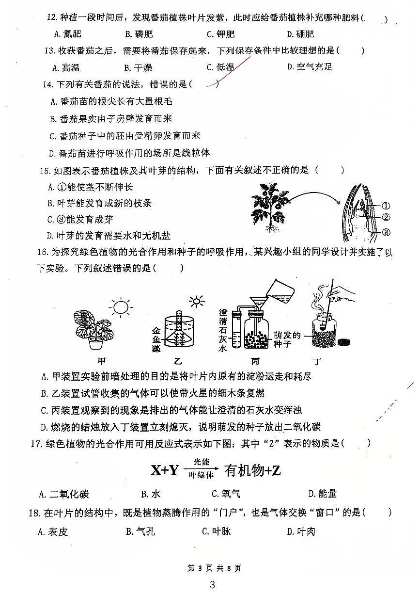 广东省江门市第一实验学校2024-2025学年七年级下学期期中考试生物试题第3页