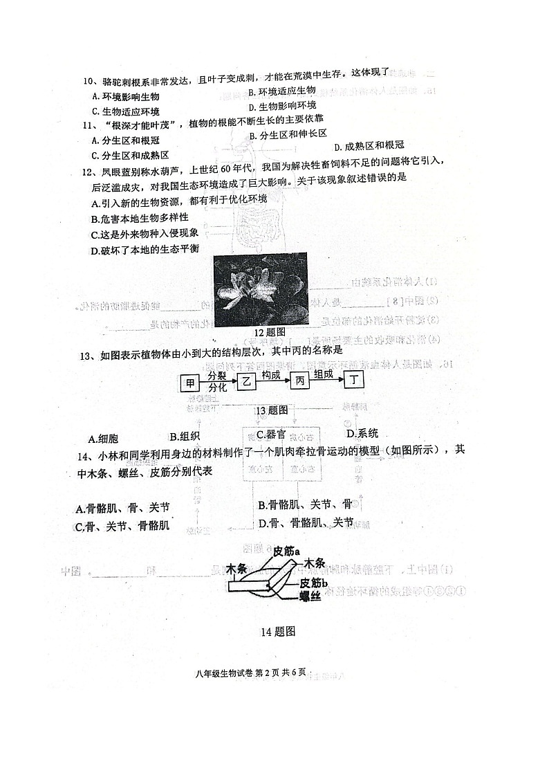 辽宁省朝阳市第一中学联盟校2025-2026学年八年级上学期10月期中考试生物试题第2页