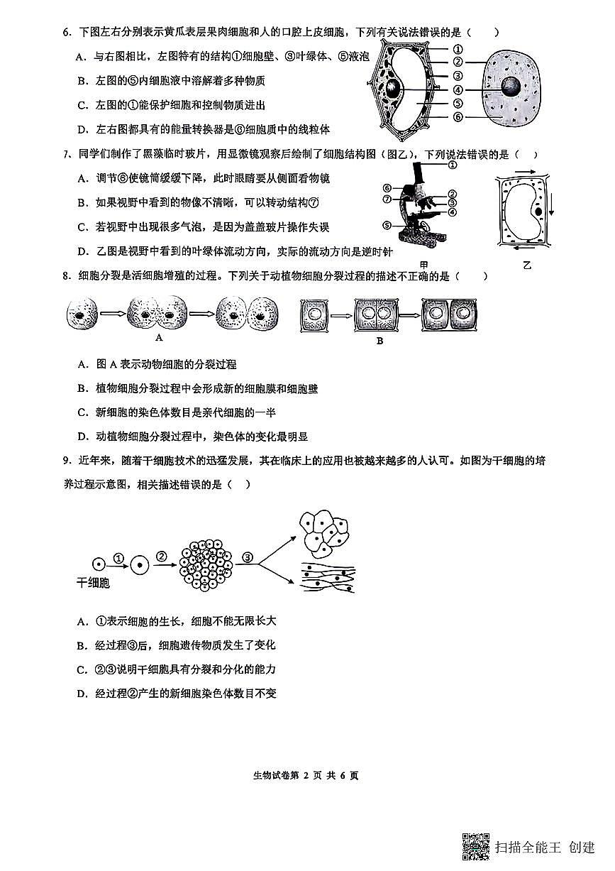 辽宁省沈阳市第四十三中学2025-2026学年七年级上学期生物期中试题第2页