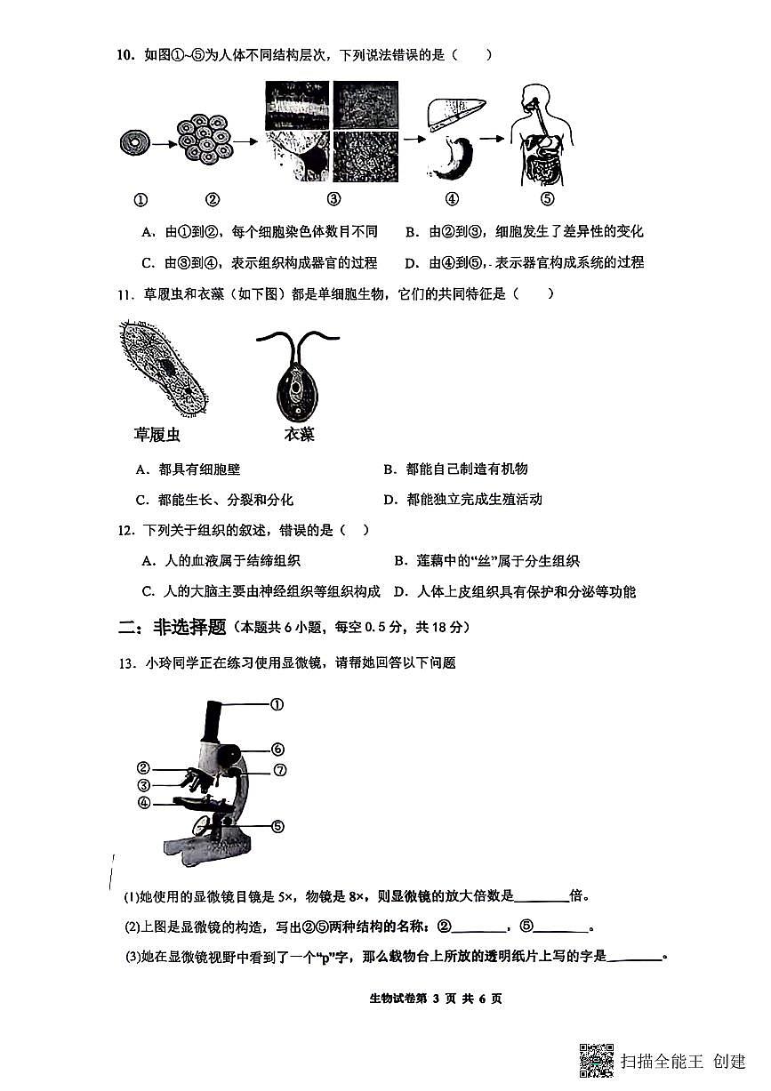 辽宁省沈阳市第四十三中学2025-2026学年七年级上学期生物期中试题第3页