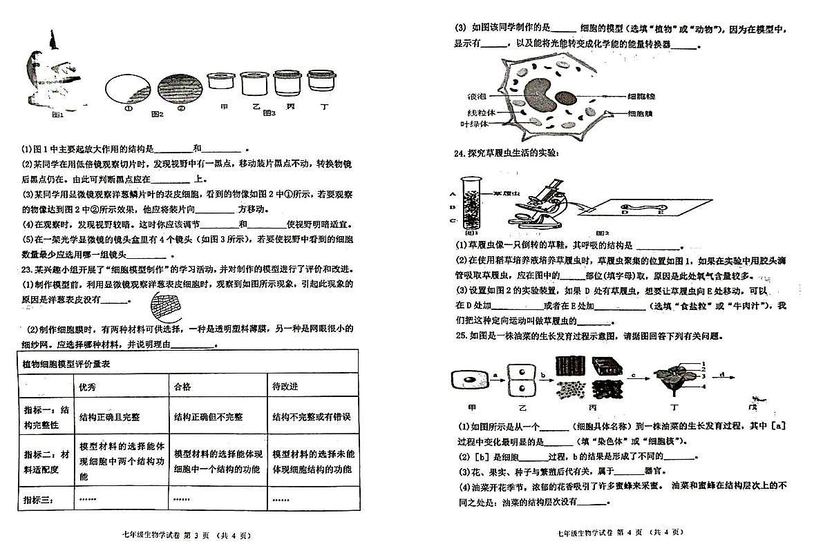 吉林省松原市长岭县三校2025—2026学年七年级上学期期中教学质量检测+生物试卷+第2页
