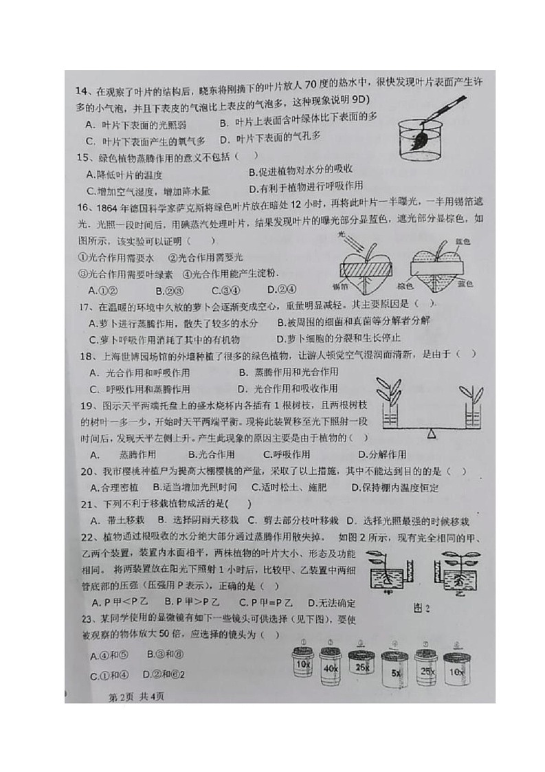 四川省内江市威远县凤翔中学2024-2025学年七年级下学期期中考试生物试题(含答案) 四川省内江市威远县凤翔中学2024-2025学年七年级下学期期中考试生物试题第2页