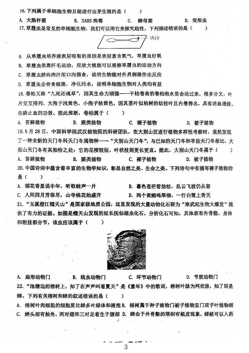 广东省江门市第一实验学校2024-2025学年七年级上学期第二次月考生物试卷第3页
