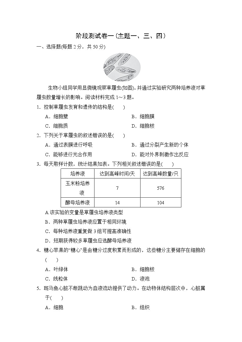 阶段测试卷一(主题一、三、四)练习 （含答案）  2026年中考生物一轮复习 （福建版）第1页