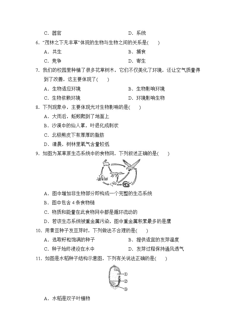 阶段测试卷一(主题一、三、四)练习 （含答案）  2026年中考生物一轮复习 （福建版）第2页