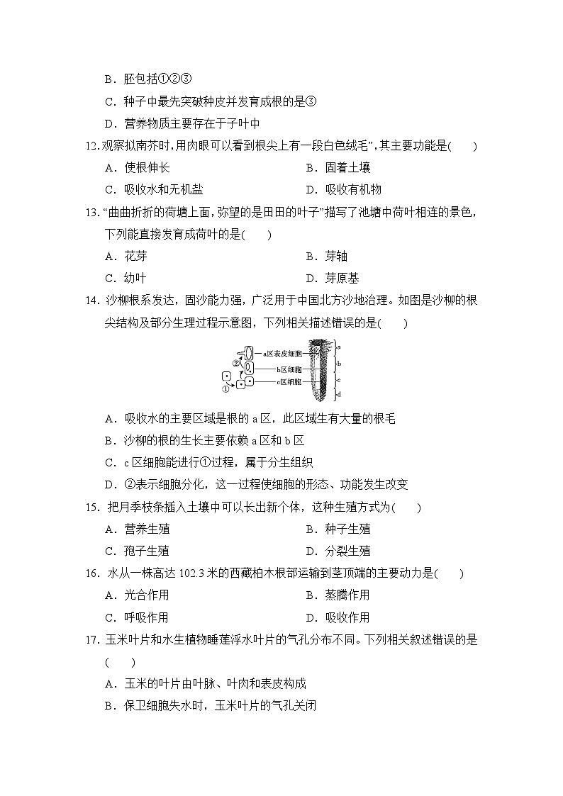 阶段测试卷一(主题一、三、四)练习 （含答案）  2026年中考生物一轮复习 （福建版）第3页