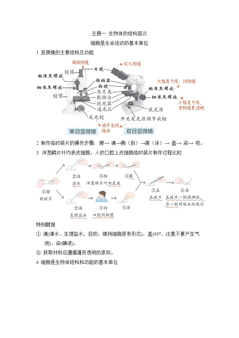 总复习 知识背本 学案 2026年中考生物一轮复习（福建版）第1页