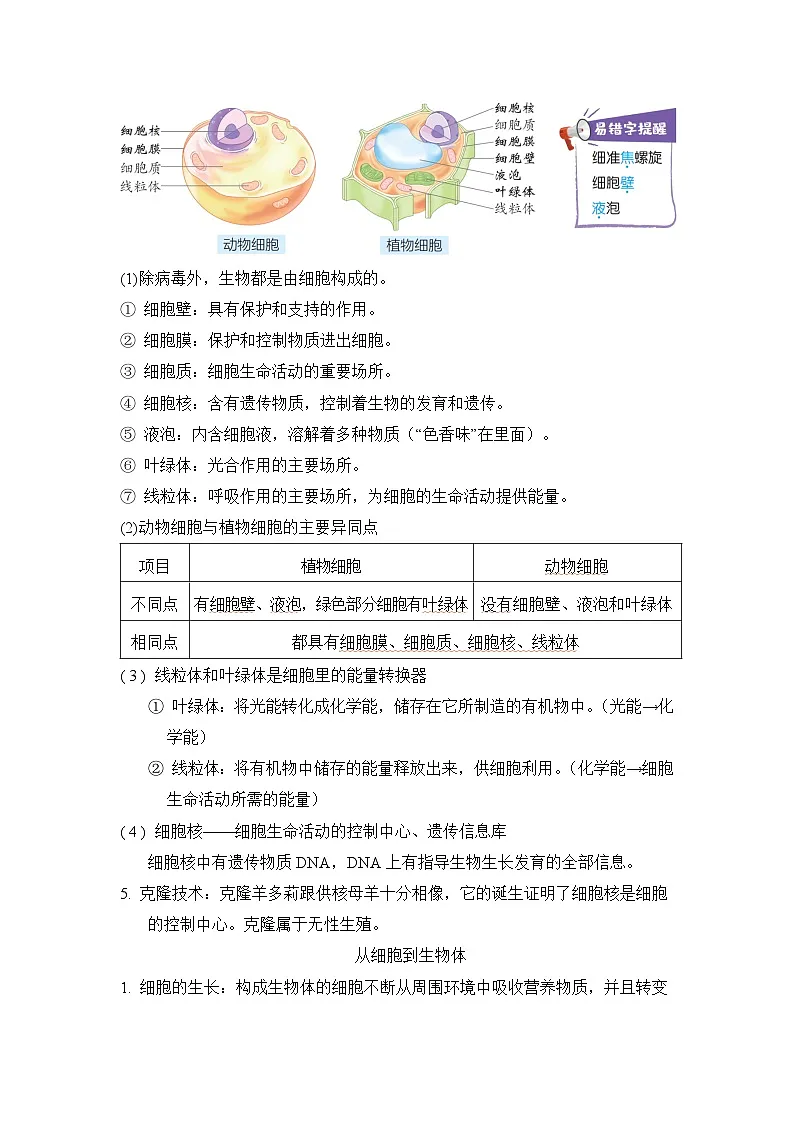总复习 知识背本 学案 2026年中考生物一轮复习（福建版）第2页