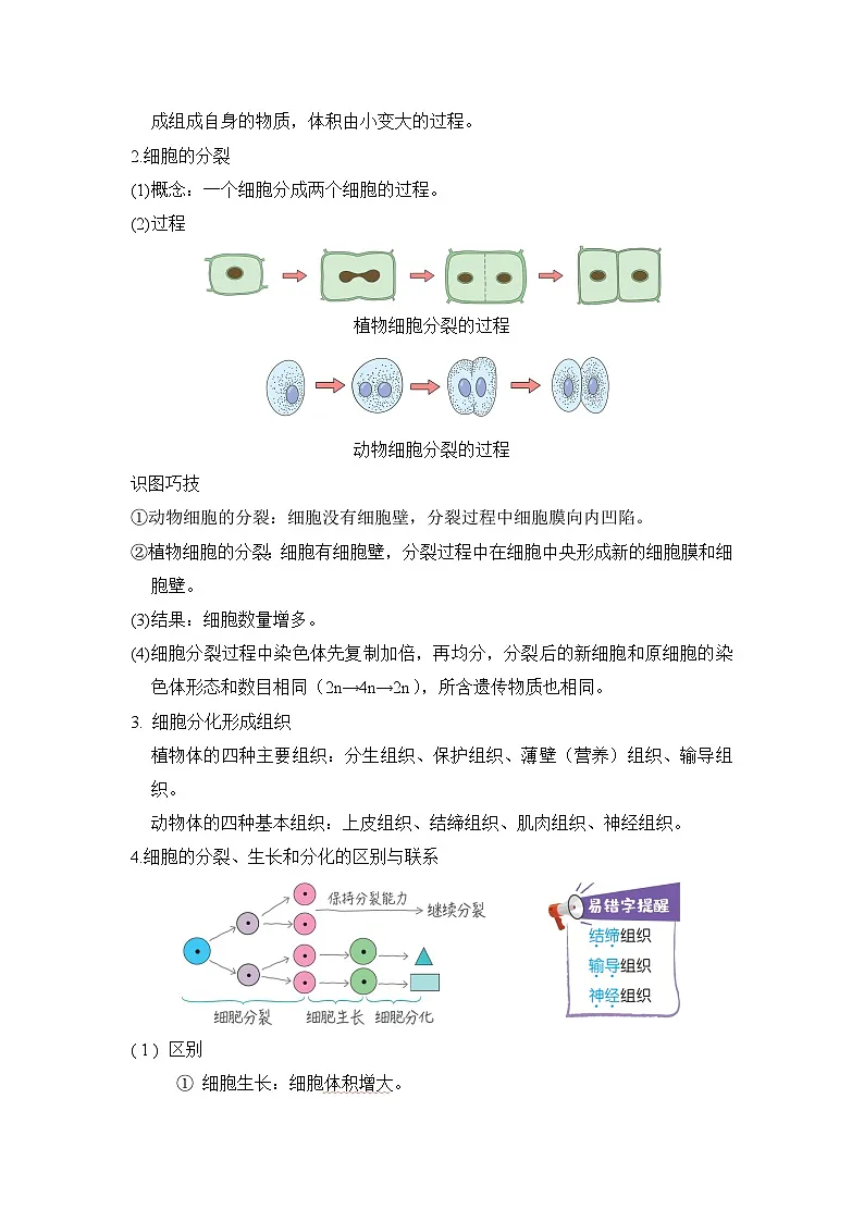 总复习 知识背本 学案 2026年中考生物一轮复习（福建版）第3页