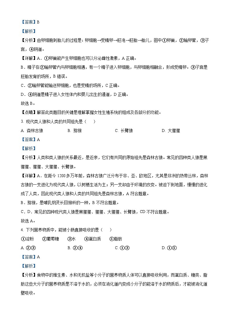 精品解析：广东省深圳市高级中学2021-2022学年七年级下学期期末生物试题（解析版）第2页