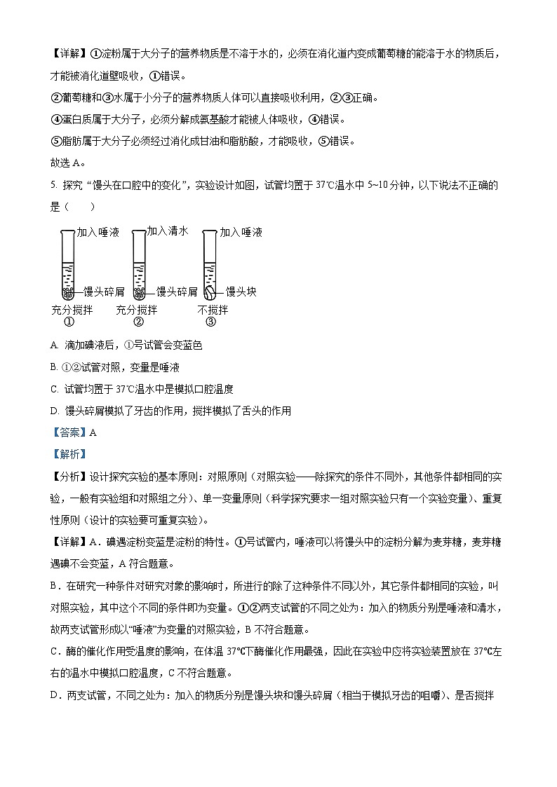 精品解析：广东省深圳市高级中学2021-2022学年七年级下学期期末生物试题（解析版）第3页
