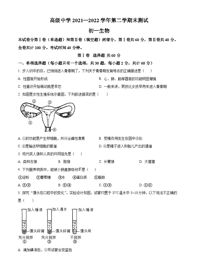 精品解析：广东省深圳市高级中学2021-2022学年七年级下学期期末生物试题（原卷版）第1页