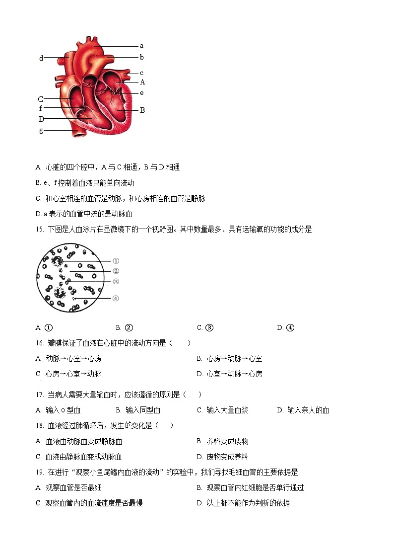 精品解析：广东省深圳市高级中学2021-2022学年七年级下学期期末生物试题（原卷版）第3页