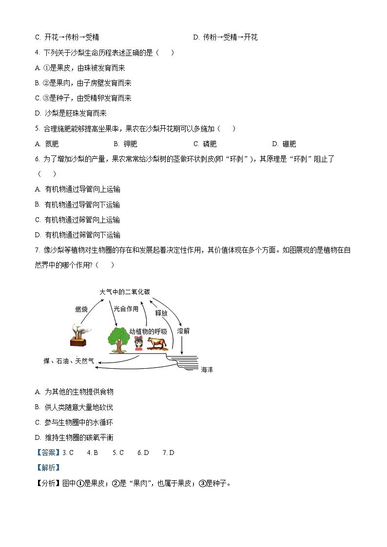 精品解析：广东省深圳市罗湖区2024-2025学年七年级下学期期末生物试题（解析版）第3页