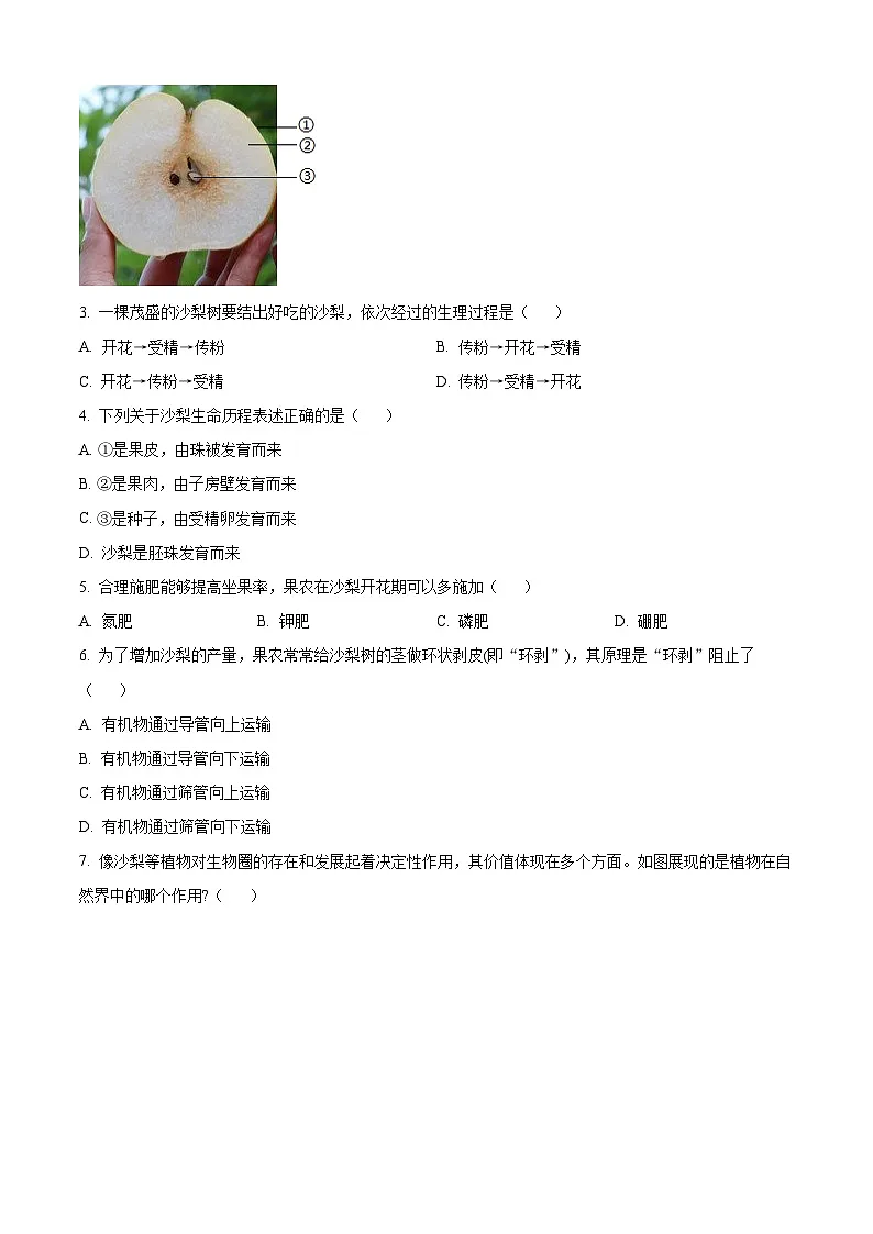 精品解析：广东省深圳市罗湖区2024-2025学年七年级下学期期末生物试题（原卷版）第2页