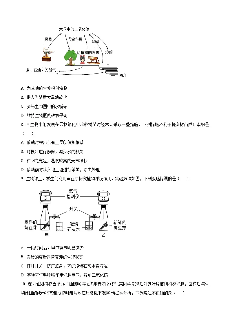 精品解析：广东省深圳市罗湖区2024-2025学年七年级下学期期末生物试题（原卷版）第3页