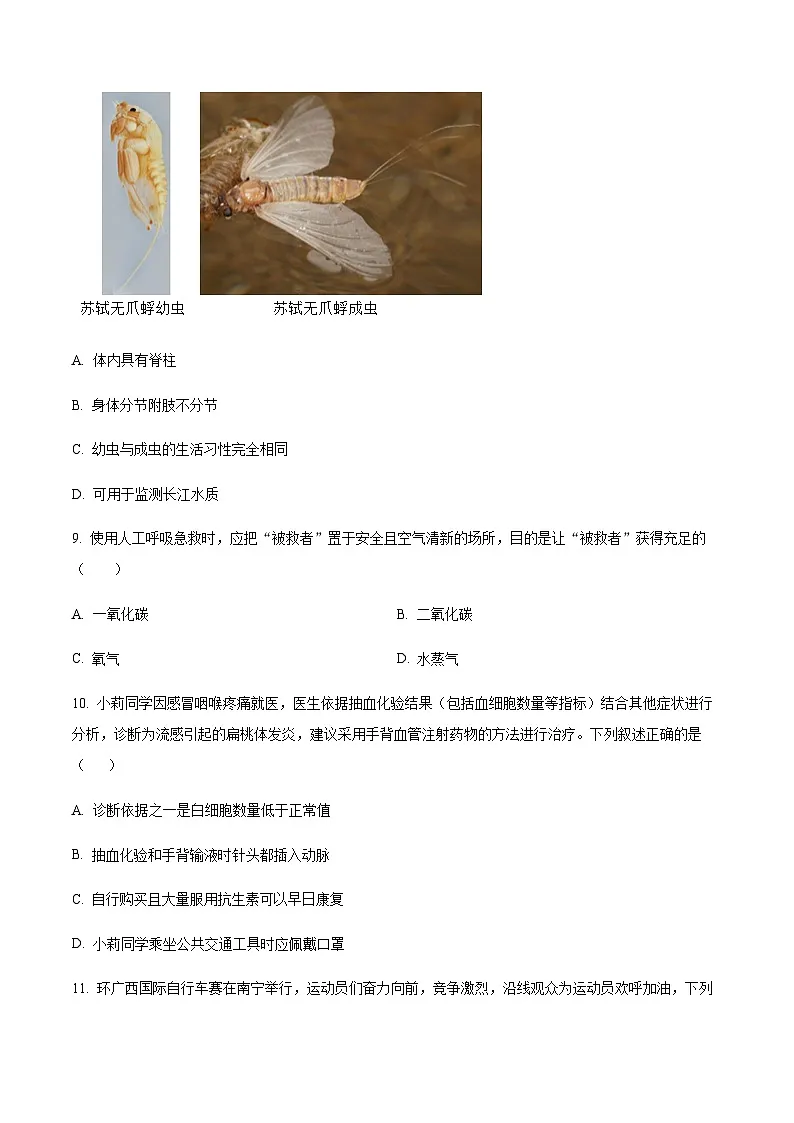 2024-2025学年广西南宁市中考一模生物试题（含答案）第3页