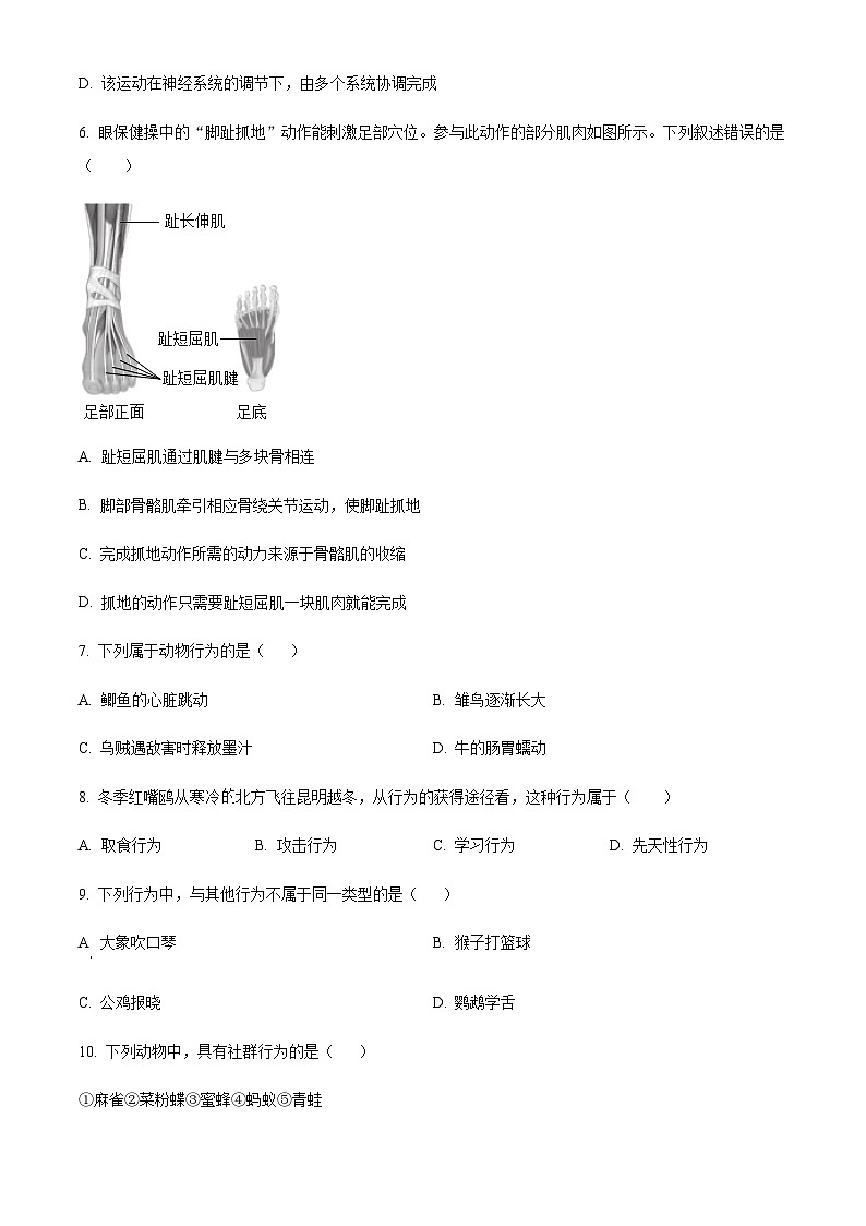 安徽省阜阳市临泉县第五中学2024-2025学年八年级上学期期中生物学试题（含答案）第2页