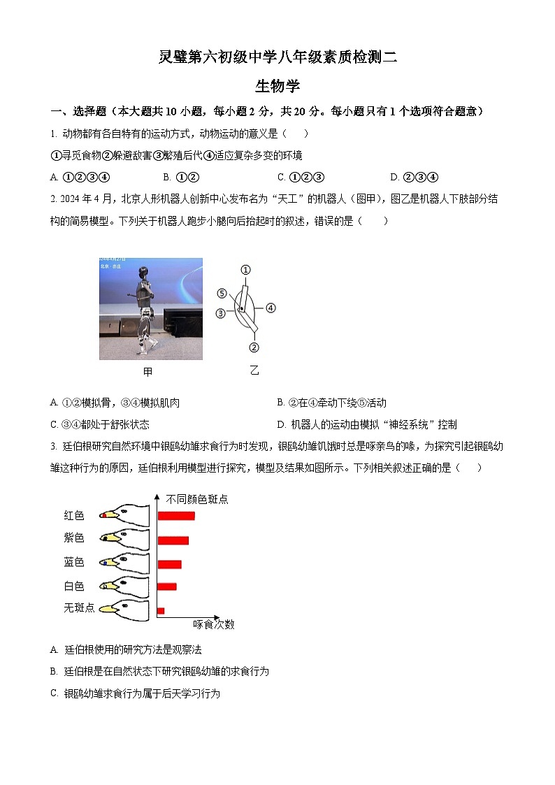 安徽省宿州市灵璧县第六中学2024-2025学年八年级上学期期中生物学试题（含答案）第1页
