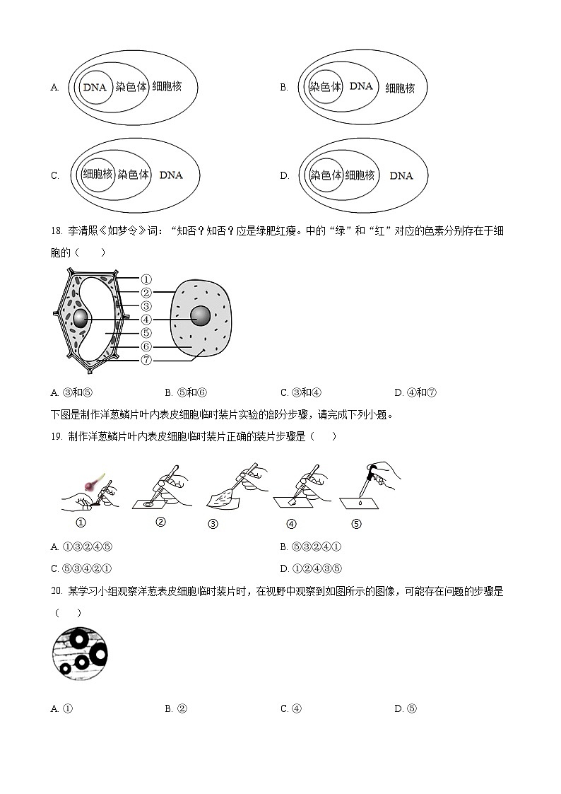 福建省厦门市莲花中学2025-2026学年七年级上学期期中生物学试题（含答案）第3页