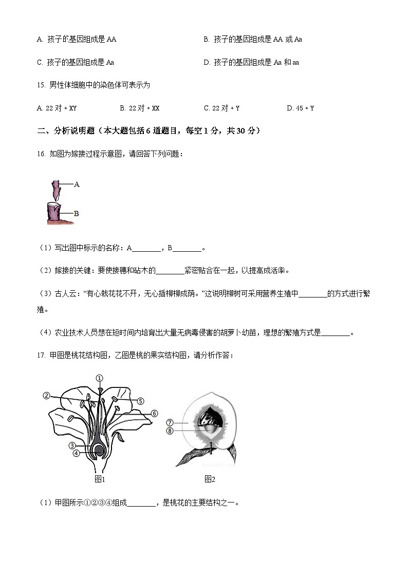 甘肃省张掖市甘州中学2024-2025学年八年级上学期12月月考生物试题（含答案）第3页