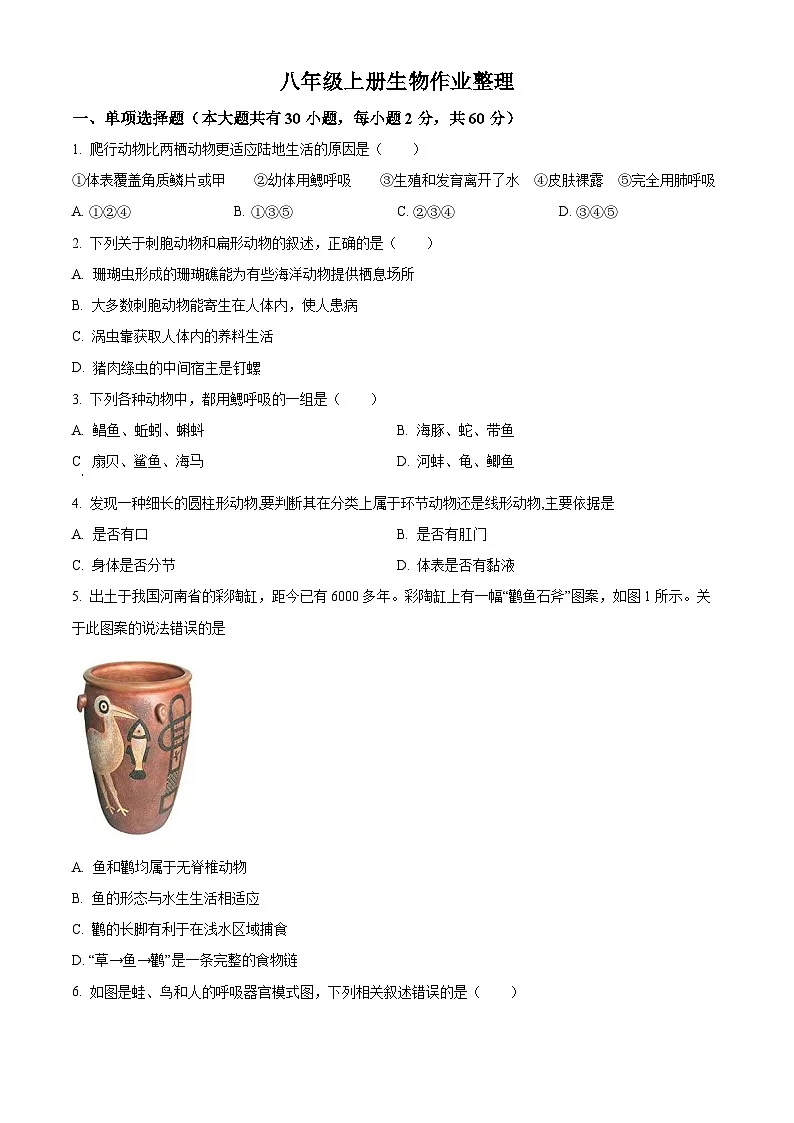 广东省东莞市石龙第二中学2024-2025学年八年级上学期第二次月考生物试题（含答案）第1页