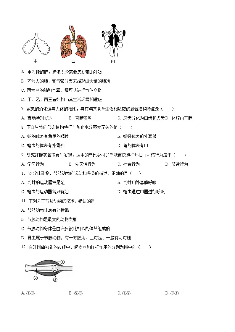 广东省东莞市石龙第二中学2024-2025学年八年级上学期第二次月考生物试题（含答案）第2页