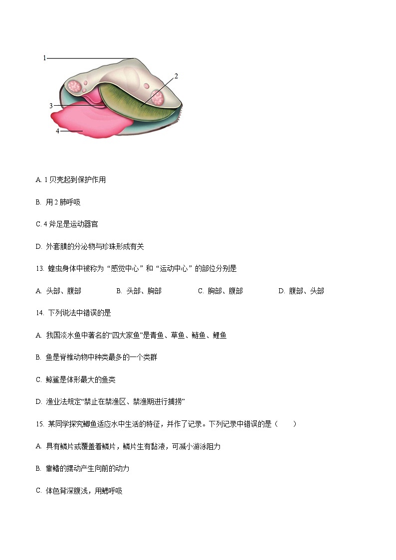 广东省汕头市潮阳区潮阳金培学校2024-2025学年八年级上学期12月月考生物学试题 （含答案）第3页