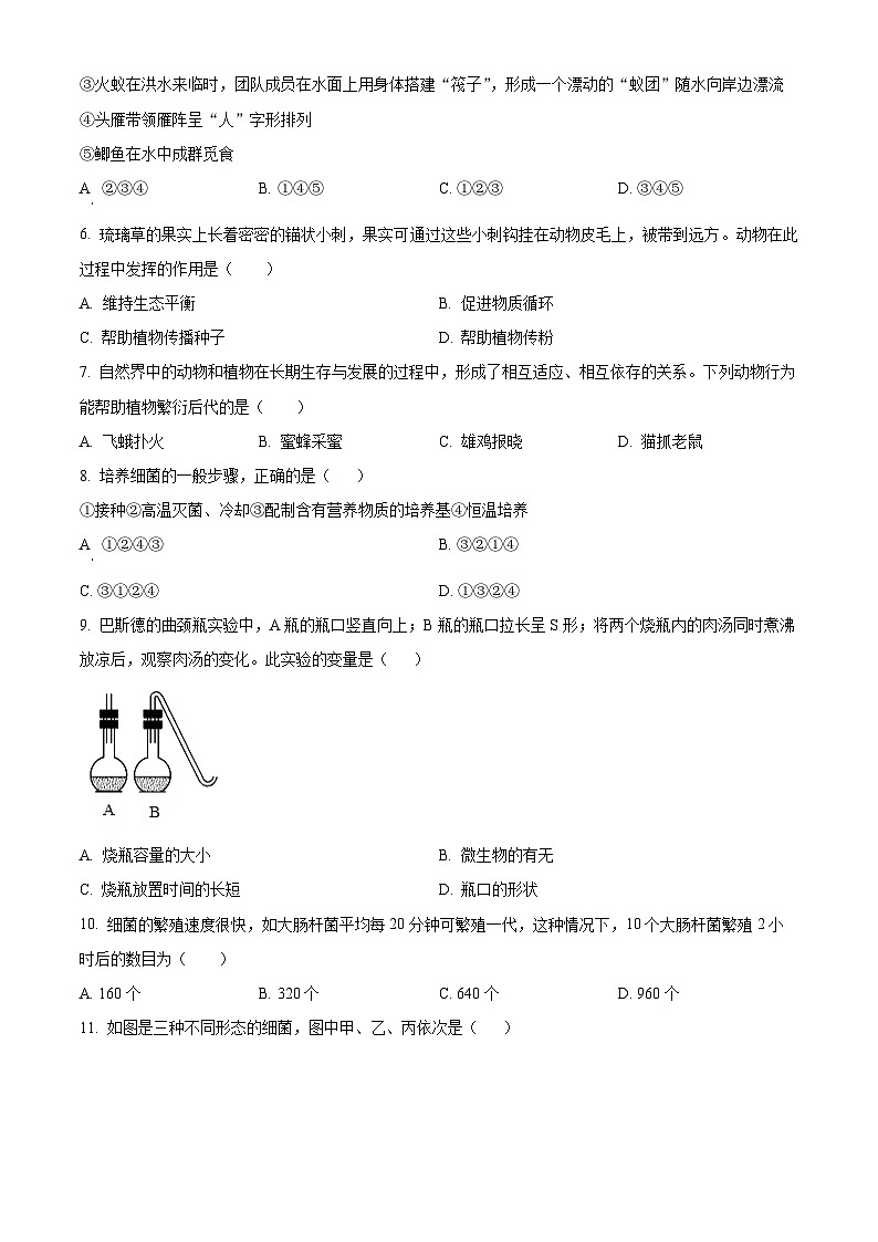 广西壮族自治区南宁市银海三雅中学2024-2025学年八年级上学期12月月考生物试题（含答案）第2页