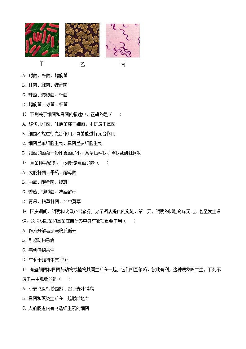 广西壮族自治区南宁市银海三雅中学2024-2025学年八年级上学期12月月考生物试题（含答案）第3页