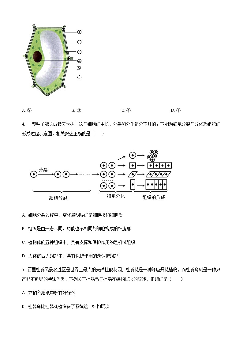 河北省廊坊市固安县2025-2026学年七年级上学期期中生物学试题（含答案）第2页