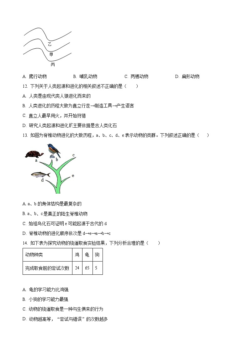 河南省周口市西华县青华中英文学校2024-2025学年八年级上学期12月月考生物试题 （含答案）第3页