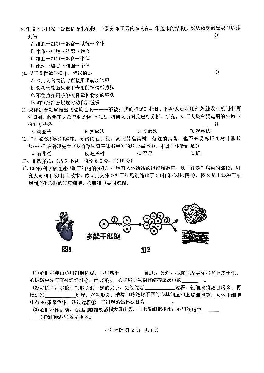 辽宁省铁岭市昌图县2025-2026学年上学期七年级生物期中试卷（含答案）第2页
