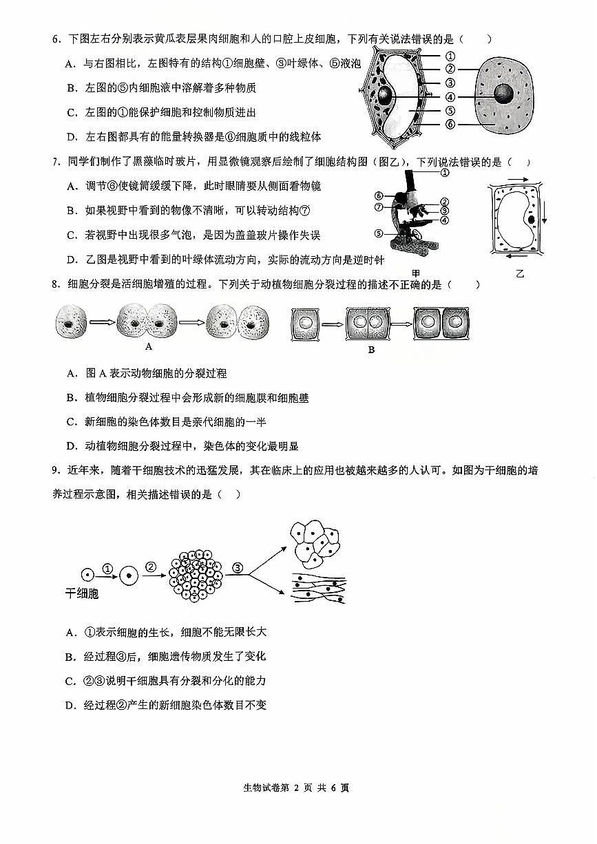 辽宁省沈阳市第四十三中学2025-2026学年上学期七年级生物期中试卷（含答案）第2页