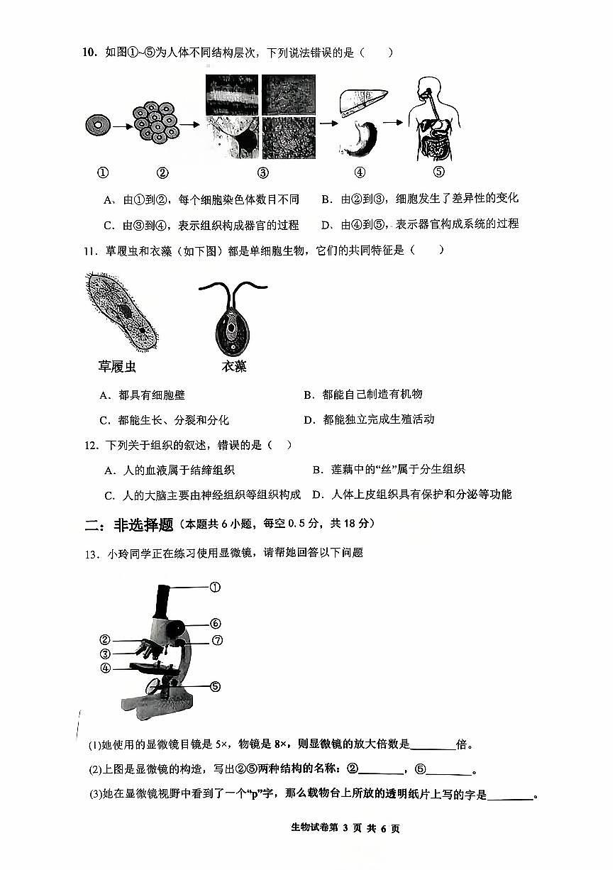 辽宁省沈阳市第四十三中学2025-2026学年上学期七年级生物期中试卷（含答案）第3页