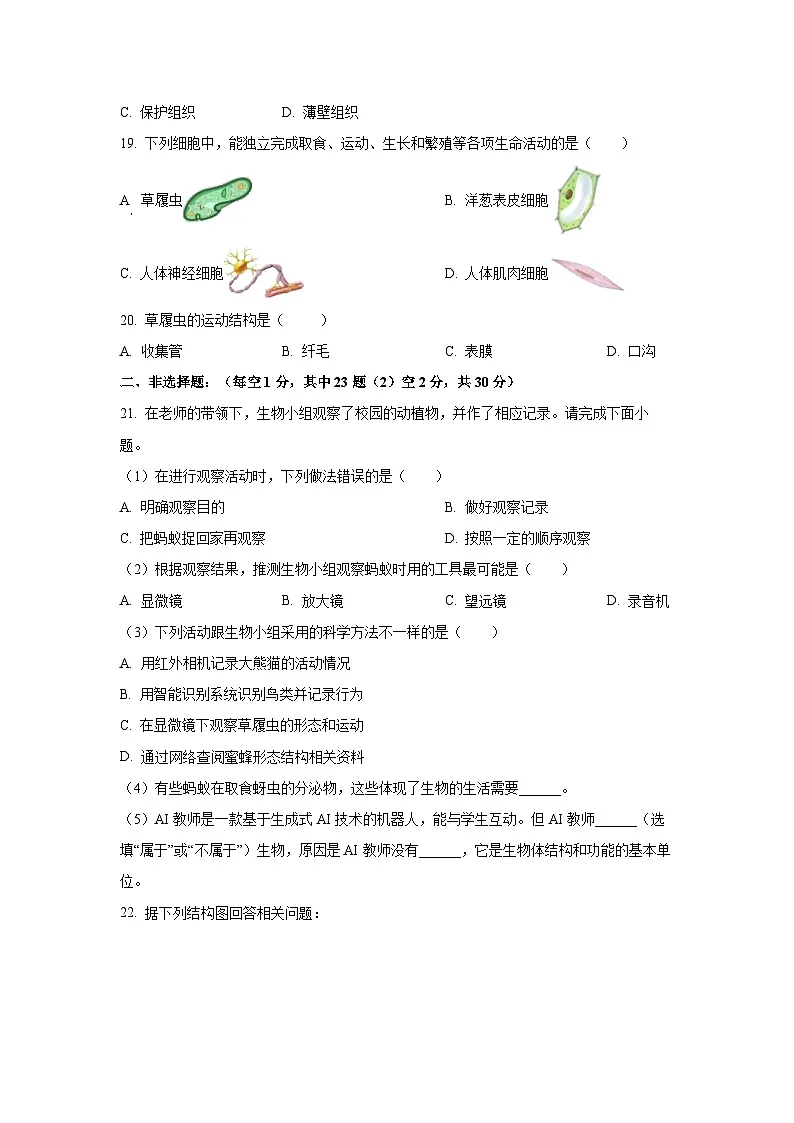 2025—2026学年吉林省松原市长岭县三校七年级（上）期中教学质量检测 生物试题（学生版）第3页