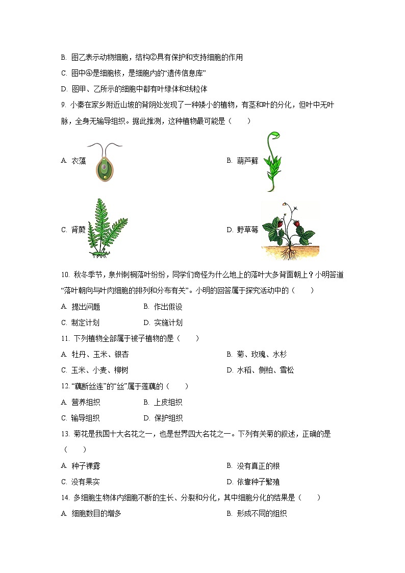2025~2026学年山东省济宁市七年级（上）期中模拟（一） （济南版）生物试题第3页